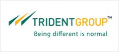 TRIDENT Group